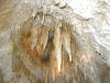 Crystal Lake Cave, Dubuque, IA (lloking up)