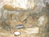 Crystal Lake Cave, Dubuque, IA - Solid Onyx