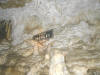 Crystal Lake Cave, Dubuque, IA - The Bird