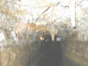 Crystal Lake Cave, Dubuque, IA
