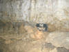 Crystal Lake Cave, Dubuque, IA - The TURTLE