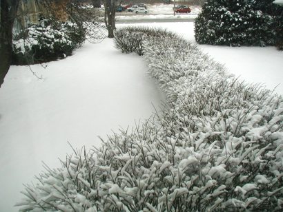 Looking outside the hotel (Holiday Inn) window - 3 December 2003