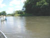 Cruising down the river!