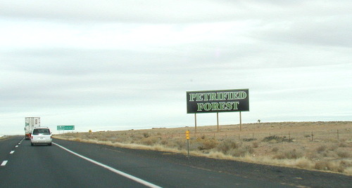 Petrified Forest;  North - East Arizona