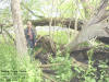 "Annas Trail Cache" Sac & Fox Trail, Cedar Rapids, IA - 23 May 2008