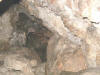 "Frankenstein Cave" The begining, Ozark Wildlife Area, Ozark, IA - 12 April 2008