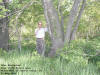 "Deer Restaurant" Blue Creek Nature Area, North-West of Center Point, IA - 21 May 2008