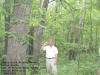 "Indian Bluff Parking Micro" Indian Bluffs, East of Pictured RocksCounty Park, East of Monticello, IA - 7 June 2008