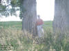 "Snug as a Bug" Near Tipton, IA 4 July 2008