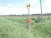 "High Octane" Near Tipton, IA - 31 May 2008