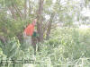 "North Cedar Travel Bug Hotel" Between Stanwood & Clarence, IA - 31 May 2008