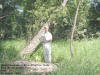 "Sleepytimebears Determination Cache" Palo Marsh, Palo, IA - 16 August 2007