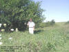 "Bigger Digger's Valley View" South of Blairstown, IA - 23 August 