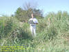 "A stroll through the hay" South East of Belle Plaine, IA - 23 August 2008