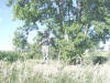 "Leigh, Hi! Road" North of Mount Vernon, IA - 8 August 2008