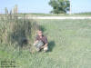 "Rocky's Hide" Alice, IA - 28 July 2008