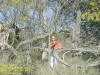 "Found Cache" Lost Nation Wildlife Area, North of Lost Nation, IA - 11 October 2008