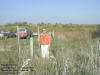 "ShaCachedow " Lost Nation Wildlife Area, North of Lost Nation, IA - 11 October 2008