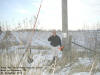 "Team 4WD Challenge Series C_DOG" West of Wyoming, IA - 13 December 2008