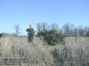 "~Happy Holidays 2008~" South of Bertram, IA - 26 November 2008