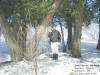 "Coniferous Skyline"Oakdale Campus, Oakdale, IA - 14 February 2009