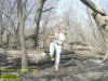 "Greenbelt Lake GOTO Cacche" Martin Lake, Waterloo, IA - 15 March 2009