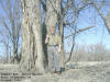 "Digger9 MCS - Marvin Gardens, South of Swisher, IA - 14 April 2009