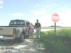 "281- Whitetail" West of Fairbank, IA - 20 June 2009