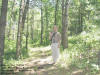 "Behind the Cabins" Lake Belva Deer Recreation Area, Northeast of Sigourney, IA - 28 June 2009