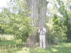 "Cortright Cache #3" Cortright Wildlife Area, South-East of Littleton, IA - 5 July 2009
