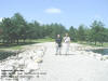 "Lakeside Retreat" Lake Belva Recreation Area, Northeast of Sigourney, IA - 21 June 2009