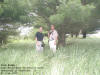 "Pine Ridge" Lake Belva Recreation Area, Northeast of Sigourney, IA - 21 June 2009