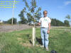 "Green Mountain Maple"  This was the 14th of 19 that I found during this years Hike -n- Seek 2007 Event in Marshalltown.  Yes, this IS what is says it is! Found quickly.  CW: Bridge  TFTC!!!