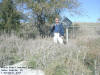 "Which Post? Deadend Road" Cedar Rapids, IA - 3 November 2007