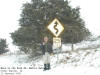 "Eels in the Road #2: Exotic Animals" near Palisades Dows Preserve, Cedar Rapids, Iowa - 12 January 2008