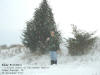 "Happy Holidays!" Cache (After editing) ~ 2 miles SouthWest of Palisades Kepler Park, Cedar Rapids, IA - 26 December 2007