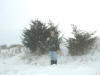 "Happy Holidays!" Cache (before editing) ~ 2 miles SouthWest of Palisades Kepler Park, Cedar Rapids, IA - 26 December 2007