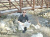 "Boys on Bridge" Boyson Park & Trail, Marion Iowa - 18 April 2007