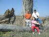 "Bunny Tree Hide" Tipton IA, not  as bad as advertised, 25 March 2007