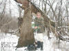 "Chief Black Hawk" Enansdale IA - 25 February 2007